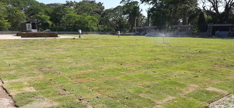 Estadio