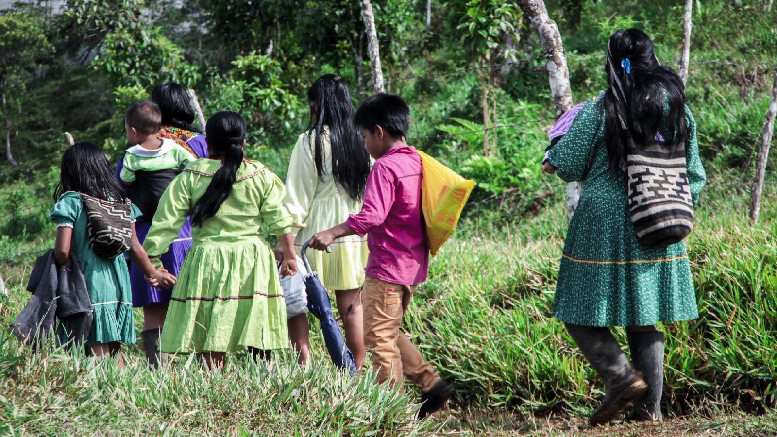 embera